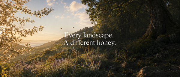 Browse Our Selection