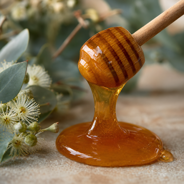 Glossy amber honey dripping from a wooden honey dipper onto a light stone surface, with blurred eucalyptus leaves and flowers in the background.